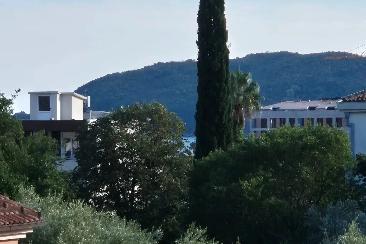 View from the property of surrounding vegetation and a hill in the distance.