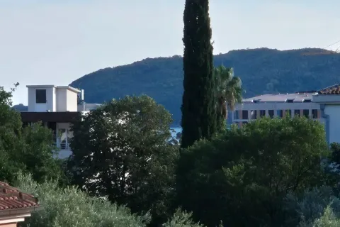 View from the property of surrounding vegetation and a hill in the distance. - image 9