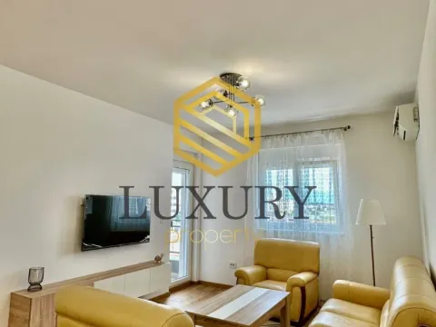 Izdavanje, jednosoban stan, 47m², Stari Aerodrom, Podgorica - image 15