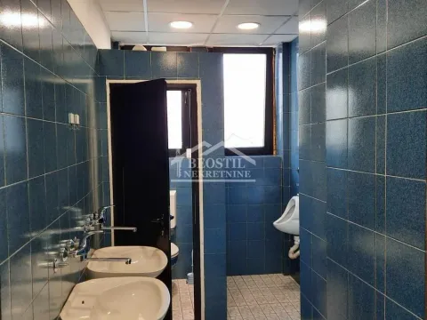 Izdavanje, poslovni prostor, 200m², Lekino Brdo, Voždovac Sve Podlokacije - image 5