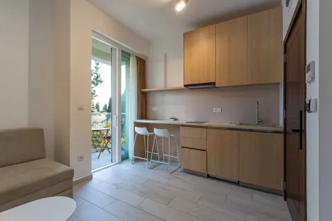 Manja kuhinja sa drvenim elementima i šankom. - image 14