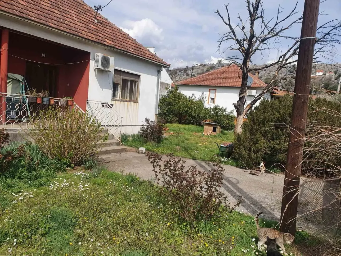 Dvorište ispred jednospratne kuće sa travnjakom i zelenilom.