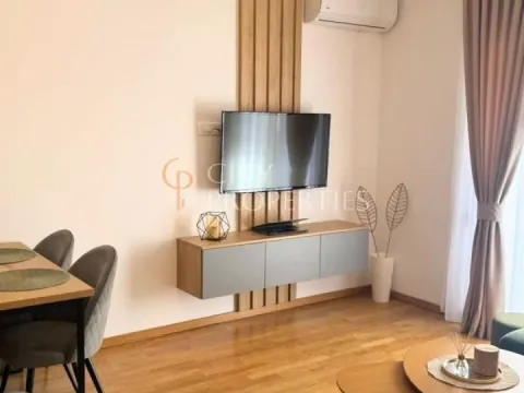 Izdavanje, stan, 60m², Stari Aerodrom, Podgorica - image 3