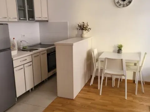 Rent, one bedroom apartment, 37m², Rotkvarija, Novi Sad Sve Podlokacije - image 4
