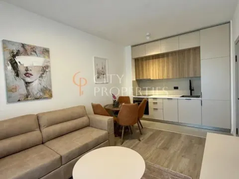 Rent, apartment, 35m², Zabjelo, Podgorica - image 10