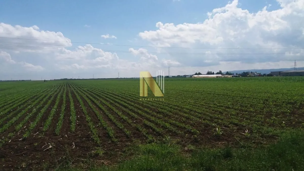 Prodaja, plac, 216m², Futog, Novi Sad Sve Podlokacije