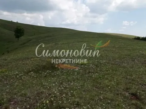 Sale, land lot, 85600m², Divčibare, Valjevo - image 8