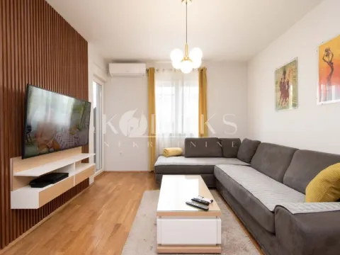 Izdavanje, jednosoban stan, 45m², Stari Aerodrom, Podgorica - image 1