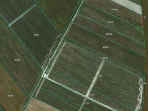 Prodaja, plac, 120000m², Varna, Šabac - image 2