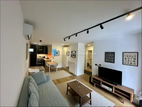 Izdavanje, dvosoban stan, 54m², Dušanovac, Voždovac Sve Podlokacije - image 2