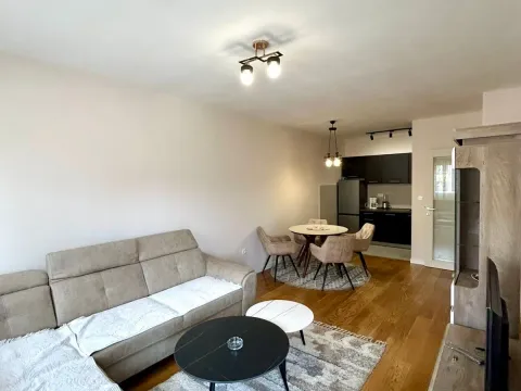 Rent, one bedroom apartment, 49m², Central Point, Podgorica - image 3