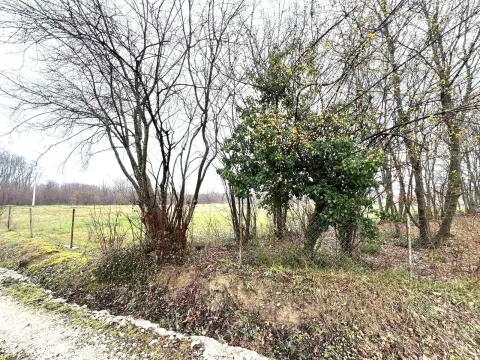 Prodaja, plac, 1258m², Ćurilac, Danilovgrad - image 4