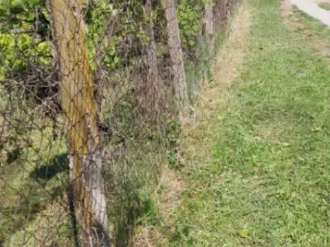 Sale, land lot, 751m², Novi Majur, Petrovaradin - image 4