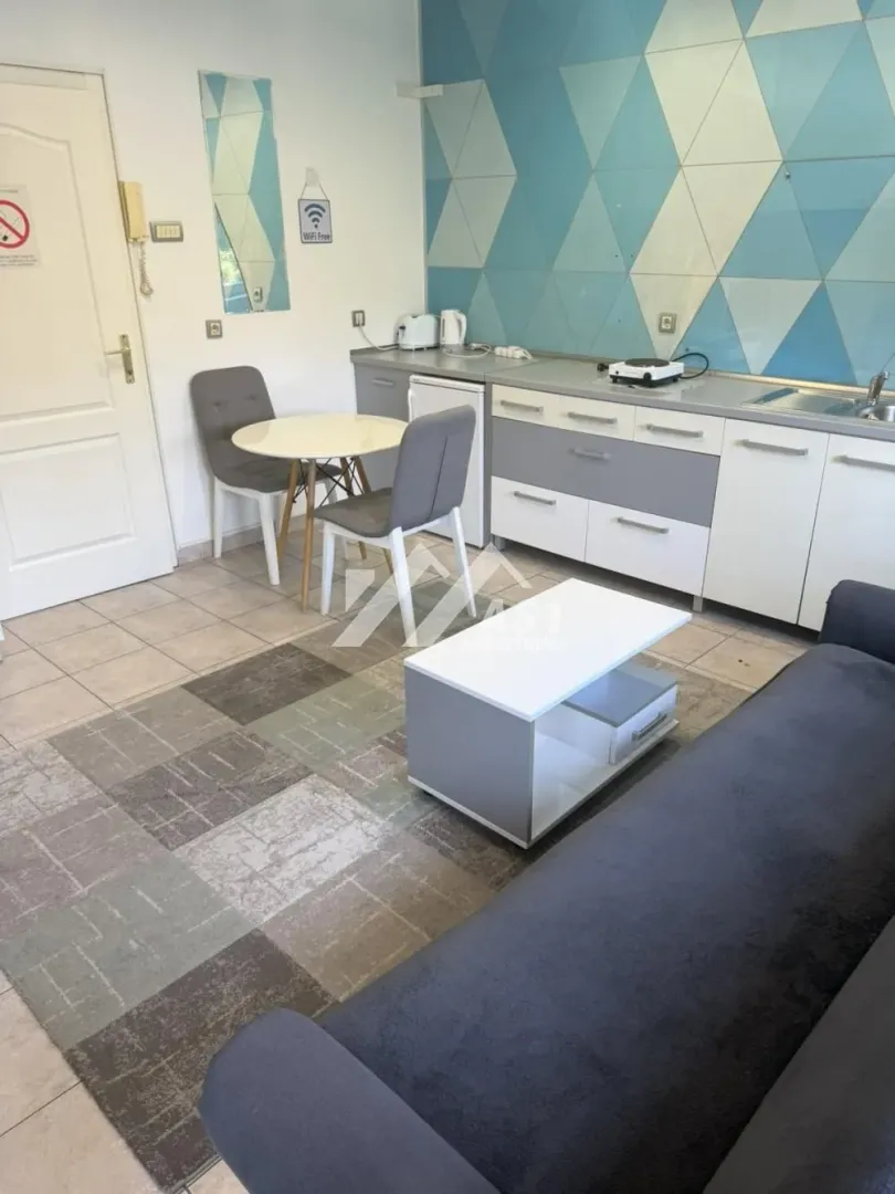Rent, one bedroom apartment, 42m², Socijalno, Novi Sad Sve Podlokacije