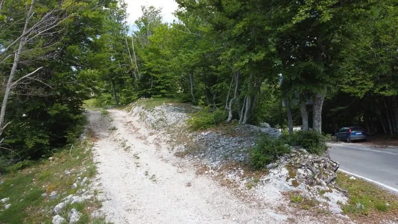 Prodaja, plac, 55000m², Cetinje, Crna Gora