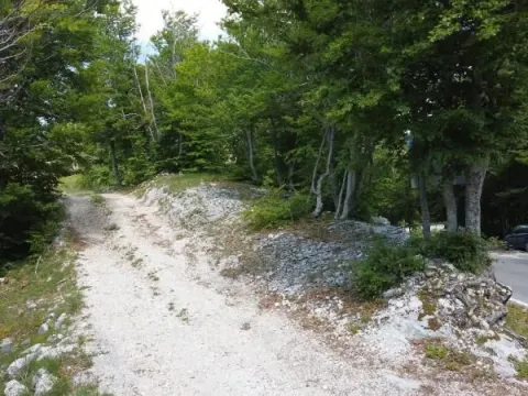 Sale, land lot, 55000m², Cetinje, Crna Gora