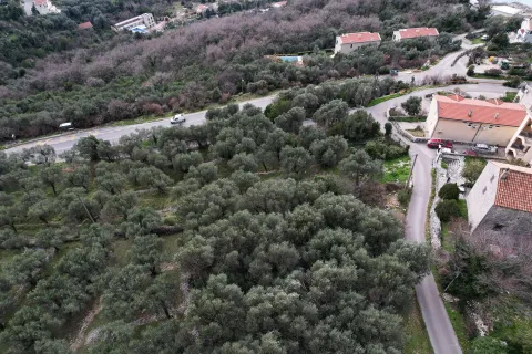 Pogled iz vazduha na imanje sa maslinjakom i okolnim putem. - image 5