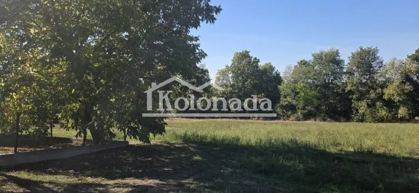 Pogled na dvorište i okolnu prirodu sa drvećem.