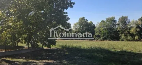 Pogled na dvorište i okolnu prirodu sa drvećem. - image 4