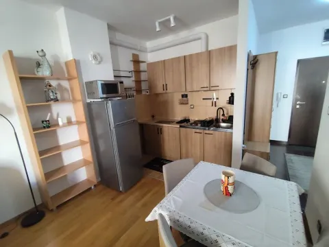 Izdavanje, jednosoban stan, 40m², Preko Morače, Podgorica - image 3