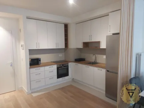 Izdavanje, dvosoban stan, 59m², Savski Venac, Beograd - image 4