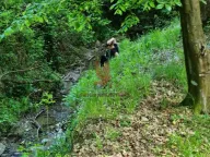 Prodaja, plac, Kosmaj, Sopot - image 2