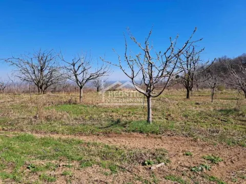 Sale, land lot, 4700m², Ritopek, Grocka - image 2