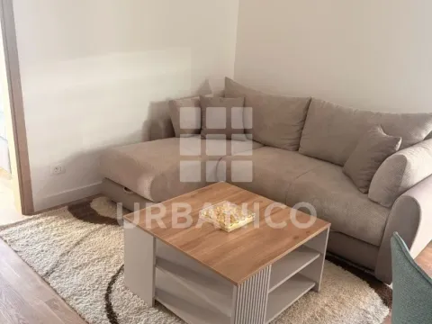 Izdavanje, jednosoban stan, 39m², Centar, Cetinje - image 3