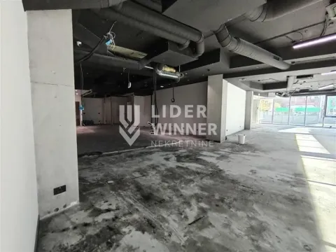 Prodaja, poslovni prostor, 347m², Južni Bulevar, Vračar Sve Podlokacije - image 5