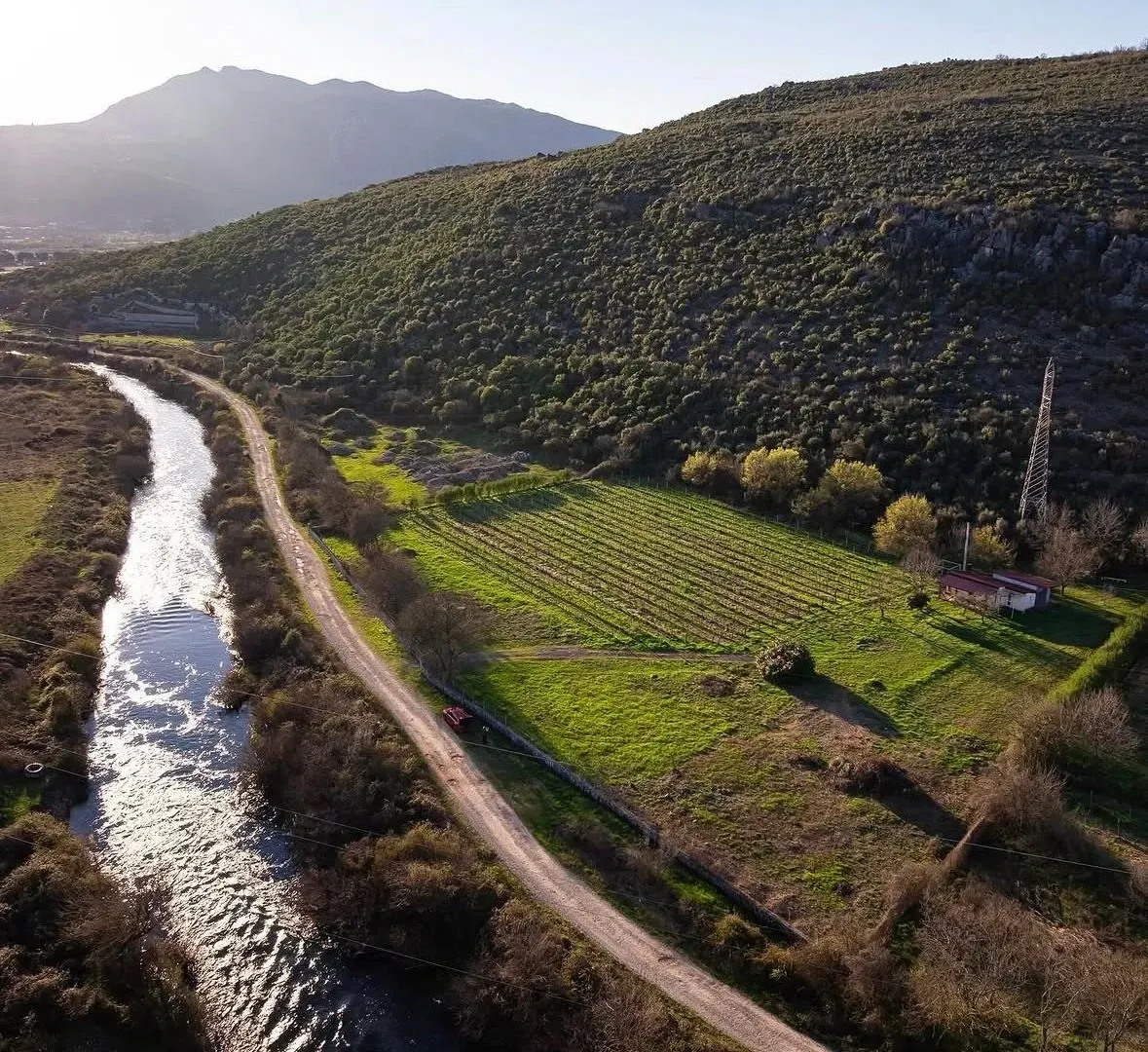 Prodaja, plac, 13000m², Beri, Podgorica