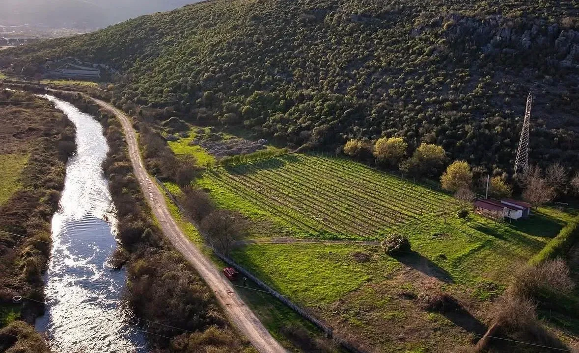 Prodaja, plac, 13000m², Beri, Podgorica