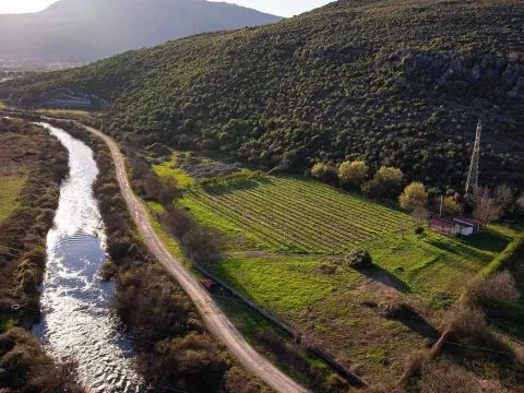 Zemljište in Beri