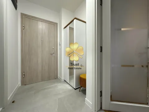 Izdavanje, jednosoban stan, 48m², Central Point, Podgorica - image 9