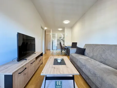 Izdavanje, jednosoban stan, 40m², Central Point, Podgorica - image 3