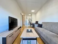 Izdavanje, jednosoban stan, 40m², Central Point, Podgorica - image 3