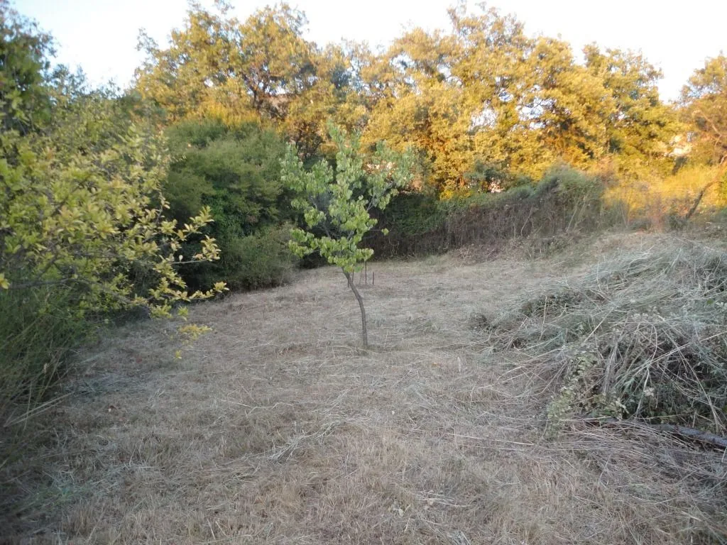 Prodaja, plac, 1181m², Burtaiši, Bar