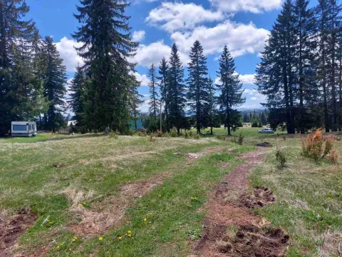 Prodaja, plac, 17505m², Žabljak, Crna Gora - image 9