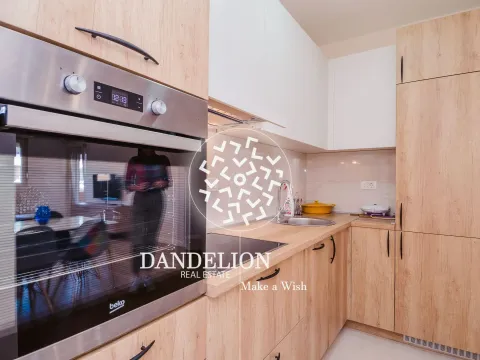 Izdavanje, jednosoban stan, 50m², Central Point, Podgorica - image 9