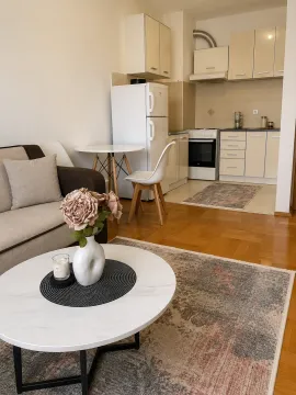 Rent, one bedroom apartment, 36m², Stari Aerodrom, Podgorica - image 2