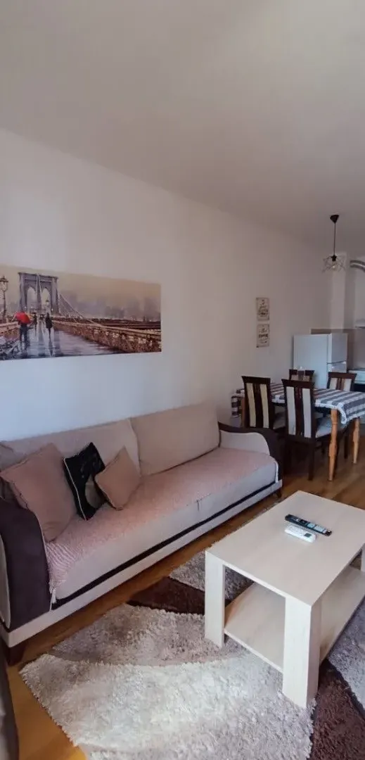 Izdavanje, jednosoban stan, 45m², Tuški Put, Podgorica