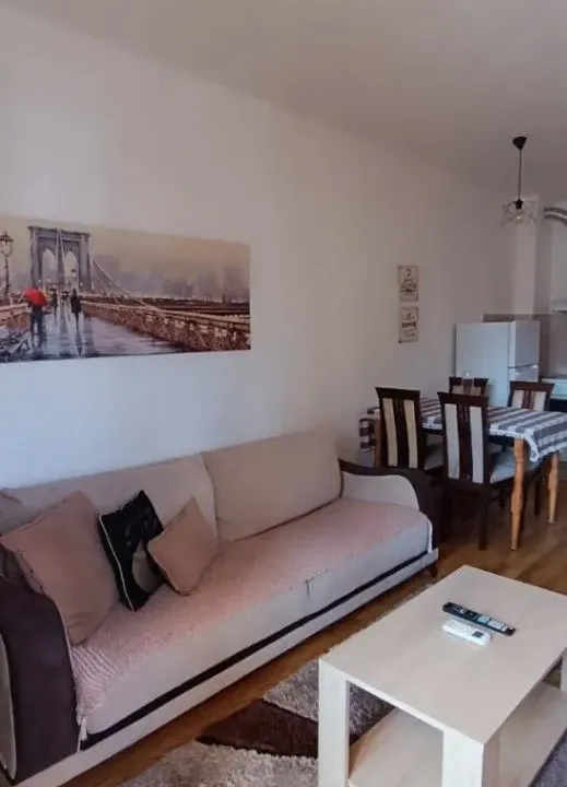 Izdavanje, jednosoban stan, 45m², Tuški Put, Podgorica