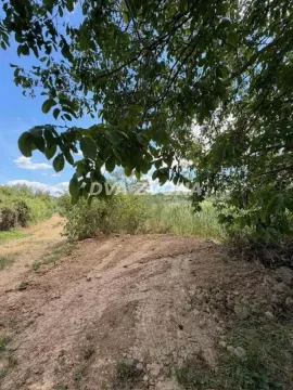 Pogled na zemljište sa drvećem i zelenilom. - image 5