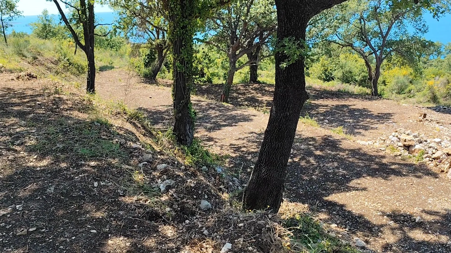 Prodaja, plac, 1227m², Dobre Vode, Bar