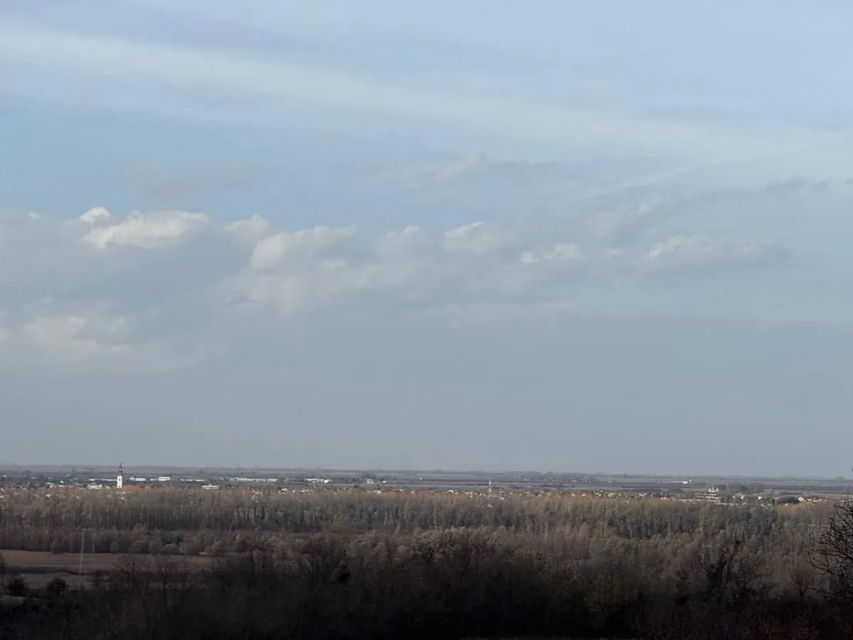 Prodaja, plac, 24207m², Beočić, Rekovac