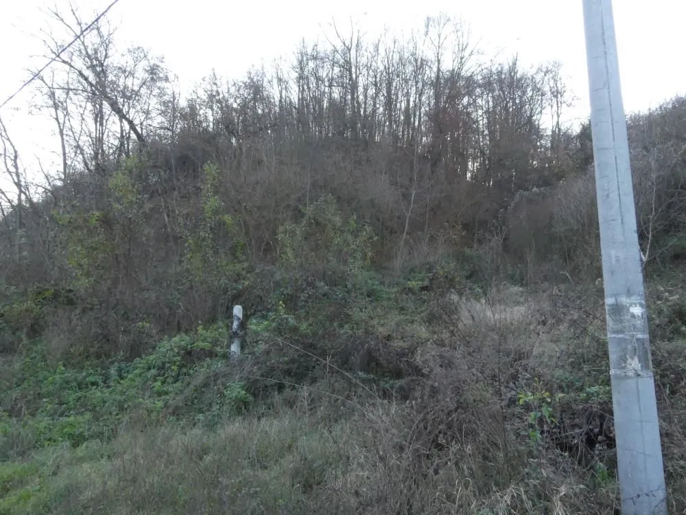 Prodaja, plac, 4599m², Novo Lanište, Jagodina
