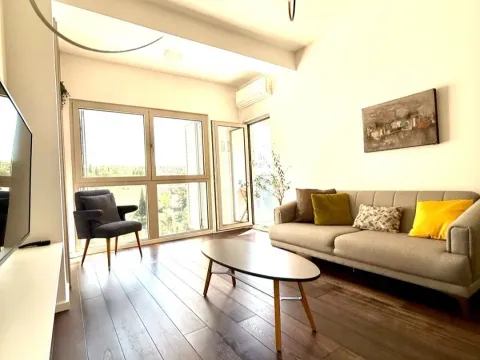 Rent, one bedroom apartment, 48m², Preko Morače, Podgorica - image 1