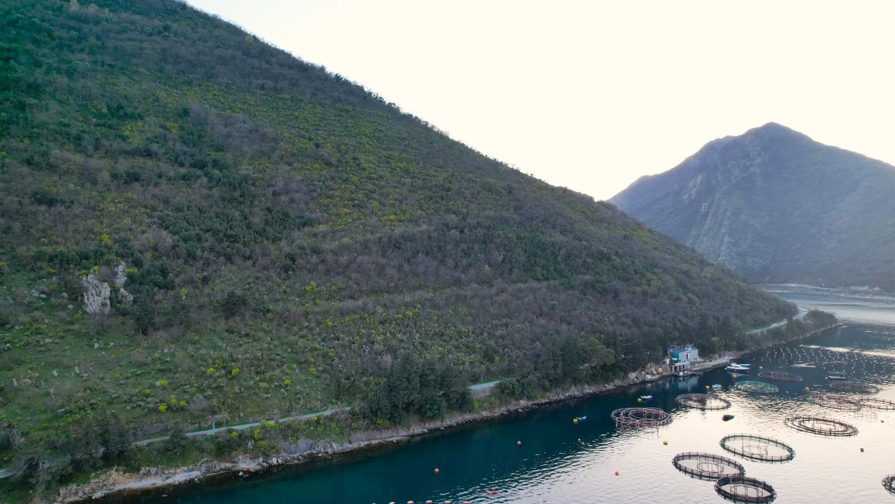 Prodaja, plac, 19000m², Stoliv, Kotor