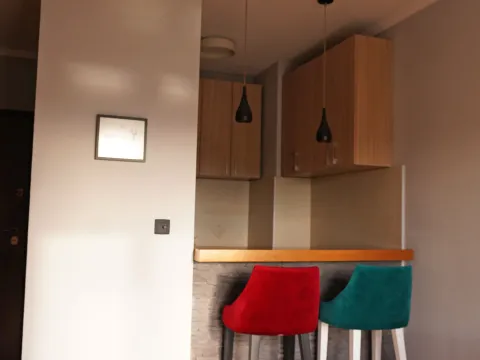 Prodaja, jednosoban stan, 32m², Stari Aerodrom, Podgorica - image 4