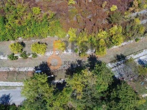Sale, land lot, Cetinje, Crna Gora - image 8