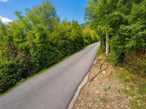 Uski asfaltni put okružen bujnim zelenilom i drvećem. - image 3